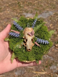 Image 1 of Mink Wall Hanging