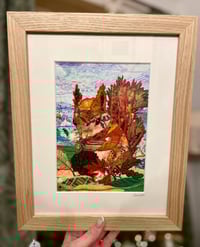 Image 1 of Framed print of Red Squirrel
