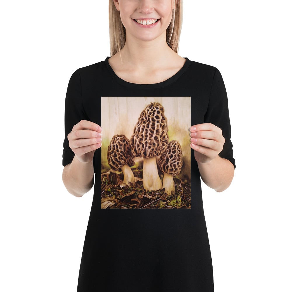 Photo Print: Morel Mushrooms