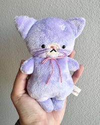 Image 1 of Purple Kitten