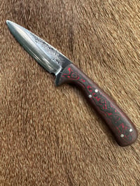 Image 2 of CF COMPANION
