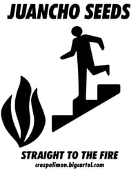 (Panama x Honduras ) x Lemon tree x freak show 