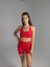 BRIGITTA SEAMLESS HALTER CROP - RED 