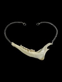 Image 2 of deer jaw chain