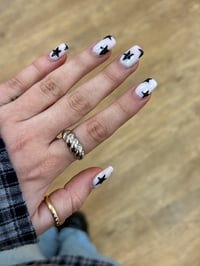 Image 3 of Curved Dome - Brand New