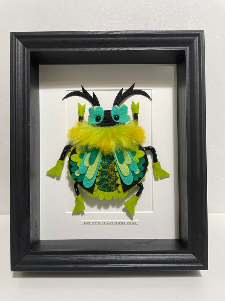 Image of Lime-booted Frilled Fforest Beetle