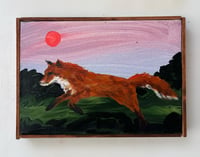 Fox by sundown