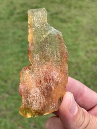 Image 4 of Amber Specimen #1464