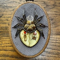 Image 4 of Specimen spider (d,  4x5 inches)