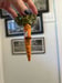 Image of Carrot Ornie 3