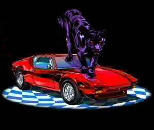 Image of Panther Season.