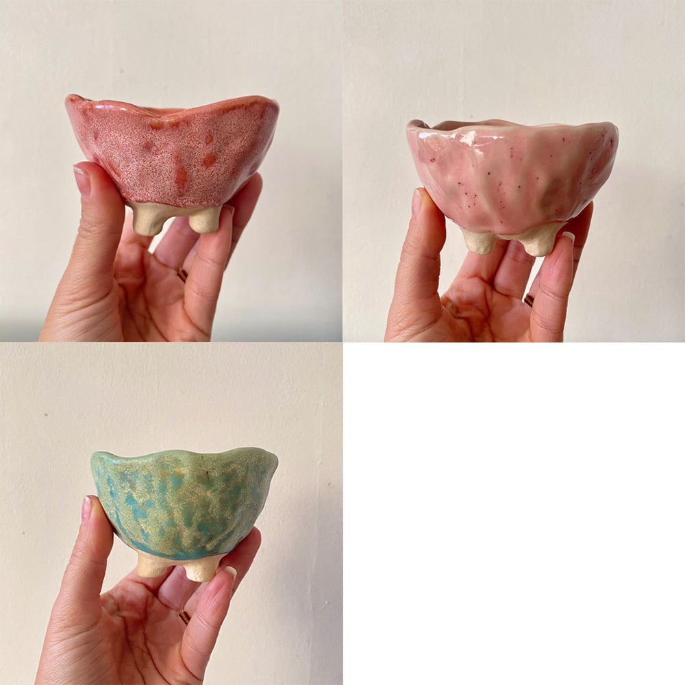 Image of Plant Pots