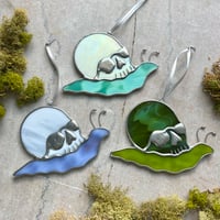 Image 1 of Skull Snails