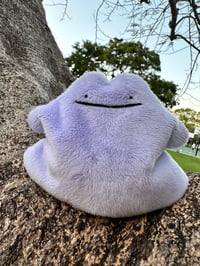 Image 1 of mini Ditto