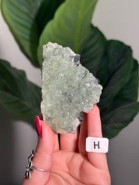 Image 8 of CHOOSE YOUR OWN BOWTIE PREHNITE -INDIA-