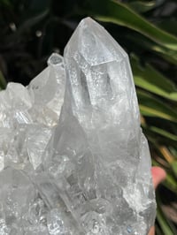 Image 10 of Clear Quartz Points Cluster Statement Piece #2446