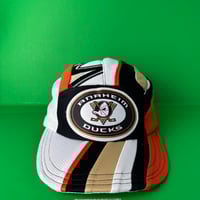 Image 1 of Anaheim Ducks 5 panel 