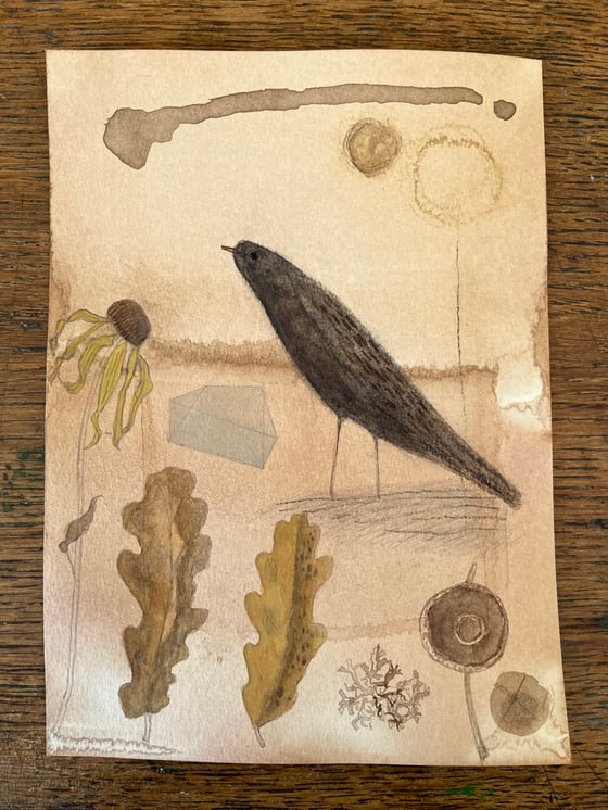 Image of Blackbird in Autumn 