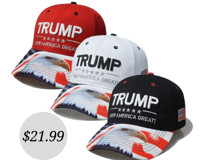 Image 1 of Trump Hat 1