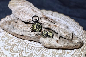 Image of ‘Bumblebee’ Collection- Madagascar Hognose 