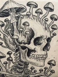 Image 2 of Hollowroot