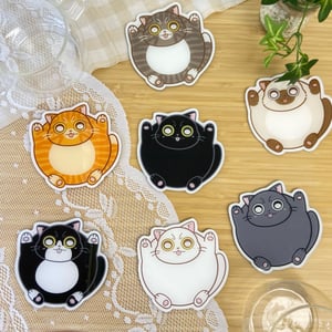 CHUBBY CAT MAGNETIC COASTER