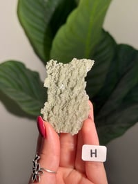 Image 8 of DOUBLE SIDED SUGAR COATED FOREST GREEN APOPHYLITE CRUST -INDIA- LOT 1