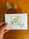 Forest life Card Pack