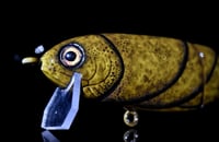 Image 2 of Finesse Floater 2pc - “Mud Craw”