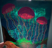Image 5 of Jellyfish 