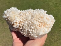 Image 13 of Aragonite On White Calcite Specimen #1243