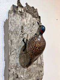 Image 4 of Flicker - Elizabeth Paxson 