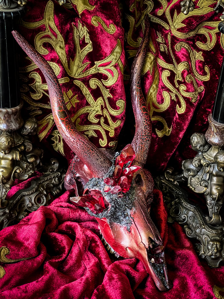 Image of Crimson Quartz & Carborundum- Blackbuck Skull