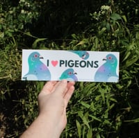 Image 4 of I Love Pigeons Bumper Sticker