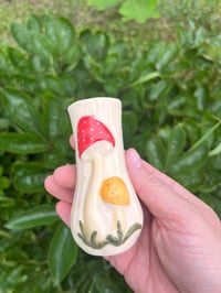 Image 7 of Mushroom Set - Seconds Item