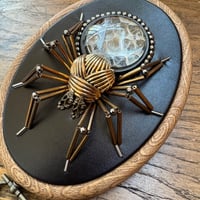 Image 2 of Snake skin spider (b, 4x5 inches)