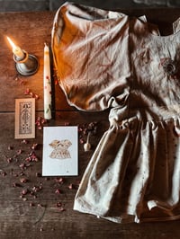 Image 5 of ‘Rose of The Desert’ Devotional Habit 2/4