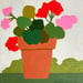 Image of Summer Geraniums 