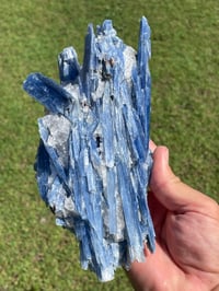 Image 16 of Blue Kyanite In Quartz Specimen #1783