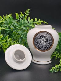 Image 3 of White And gold Urn With Real Preserved Spider Web 