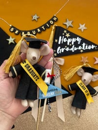 Image 2 of Graduation Mouse outfit