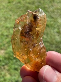 Image 9 of Amber Specimen #1944