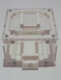 Image 2 of Artemis V2 - Standard Outworld