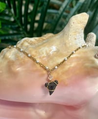 Image 1 of Shark Tooth Necklace ST111
