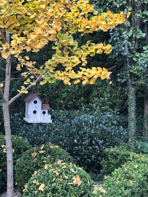 Image of Hanging White Bird House 