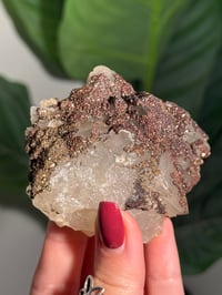 Image 3 of CHALCOPYRITE X CALCITE -MOROCCO- G