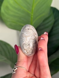 Image 5 of MEXICAN LACE AGATE SHIVA I