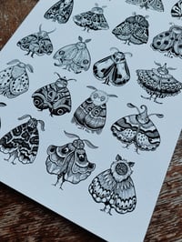 Image 2 of MOTH CHART A3