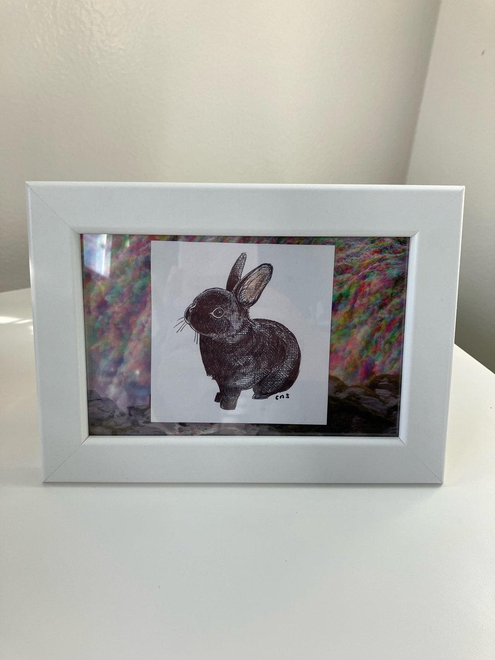 Image of black bunny