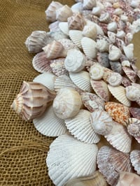 Image 6 of Seashell Mirror 32”